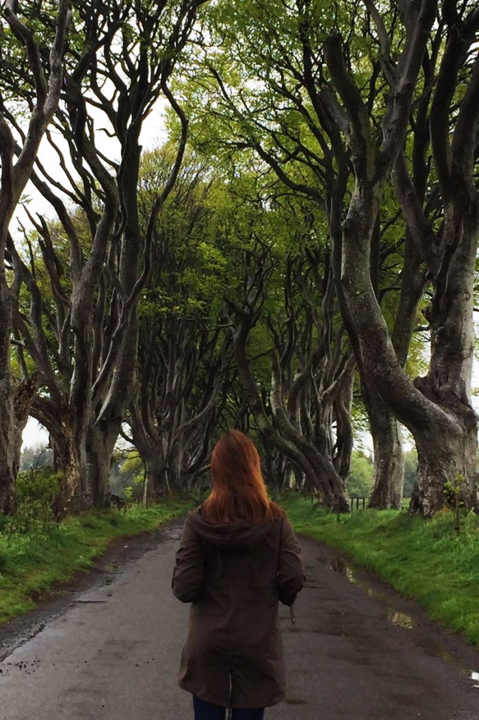 The Dark Hedges