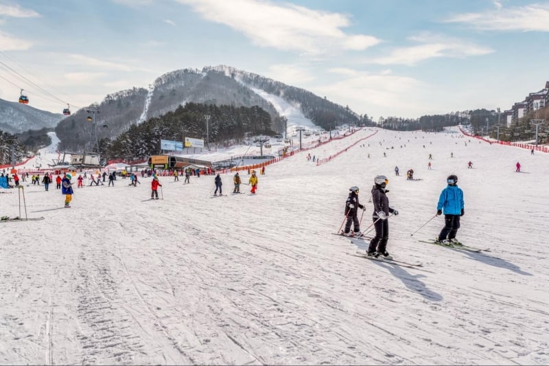 ski festivals gangwon