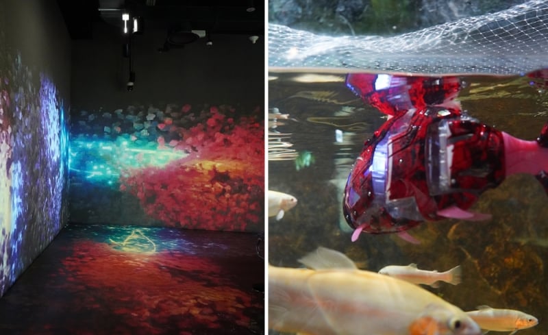 Daejeon EXPO Aquarium