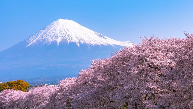 mount fuji