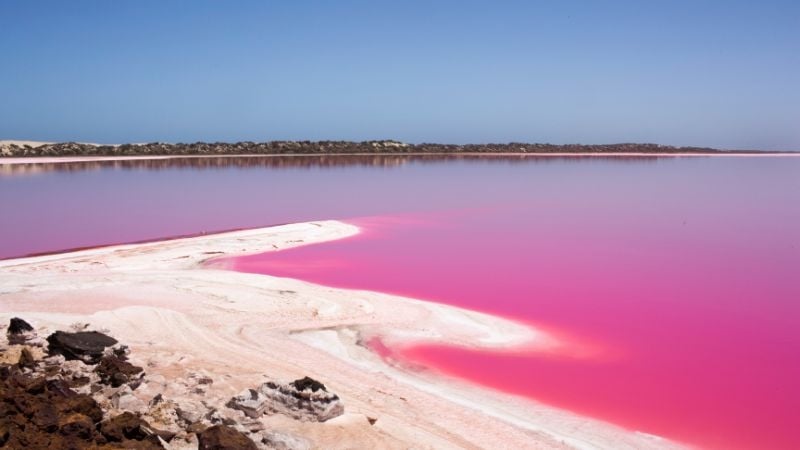 pink lake in Western Australia