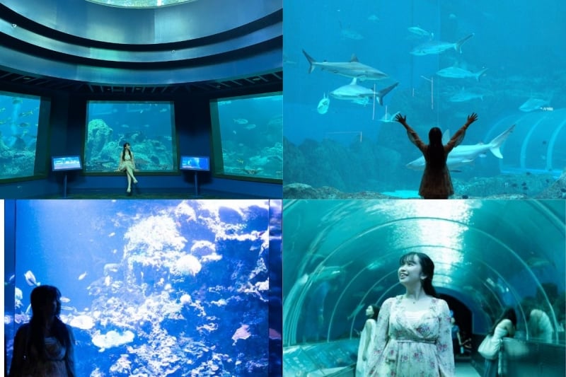 Singapore Oceanarium