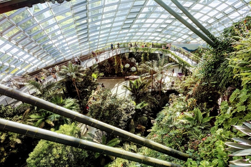 cloud forest dome singapore