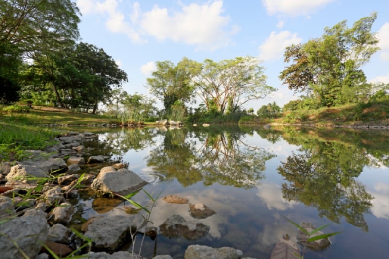 jurong lake gardens