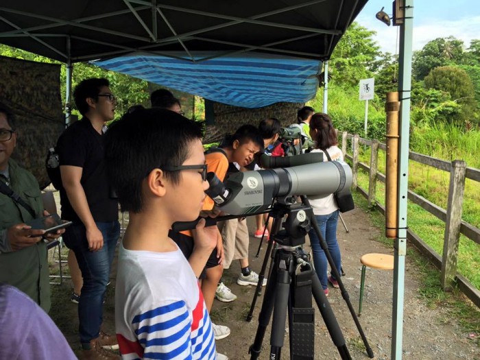 pesta pulau ubin