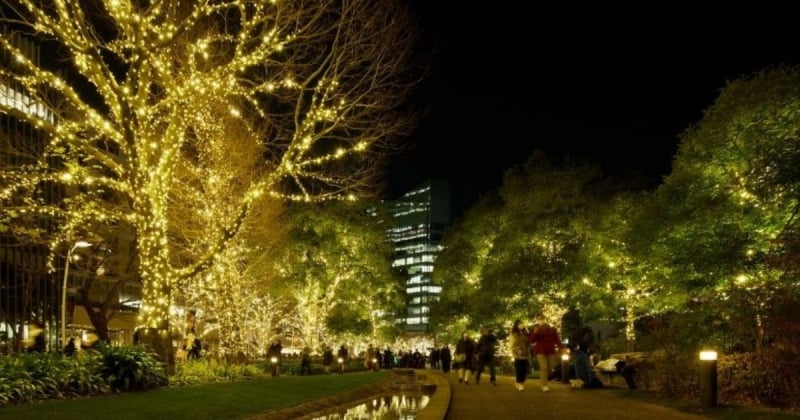 tokyo midtown christmas winter illuminations japan