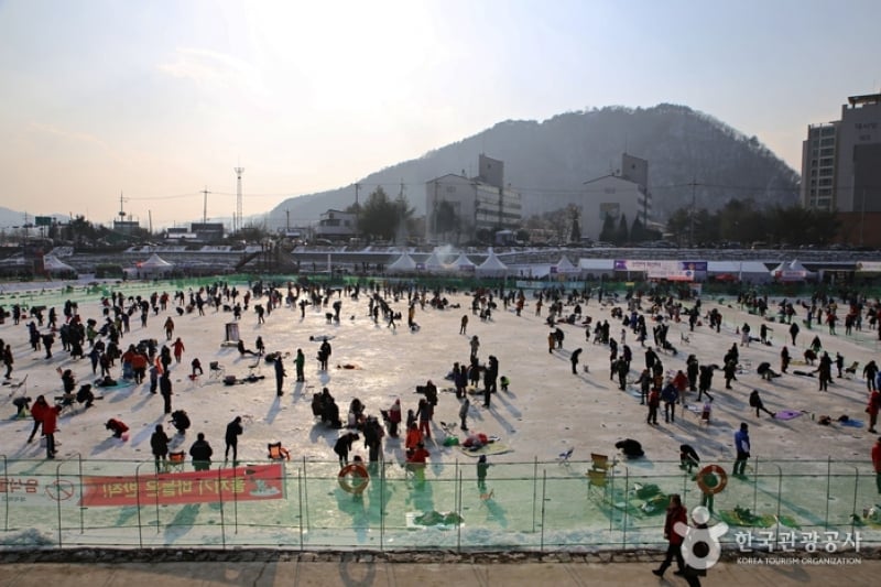 Mountain trout ice festival. Hwacheon Sancheoneo Ice Festival. Фестиваль горной форели Хвачон. Фестиваль форели в Южной Корее. Хвачхон Корея.