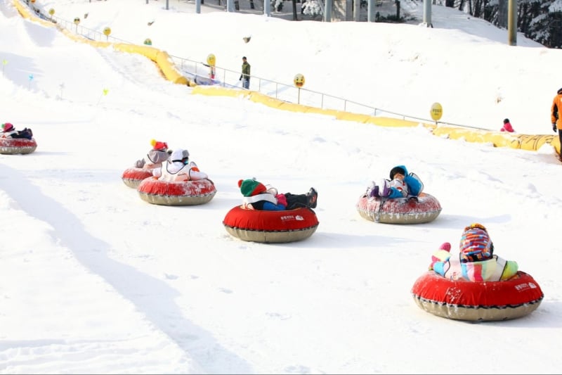 winter in korea sports
