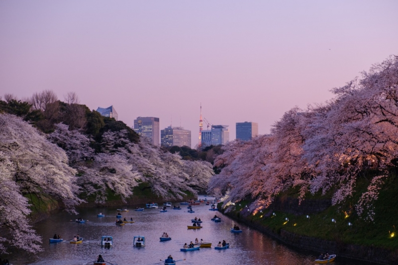 spring festivals in Japan
