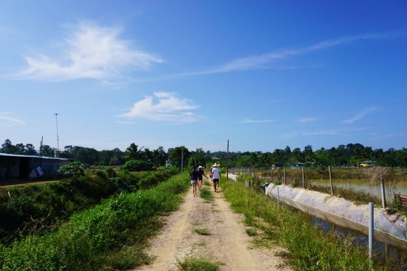 kahang organic rice eco farm