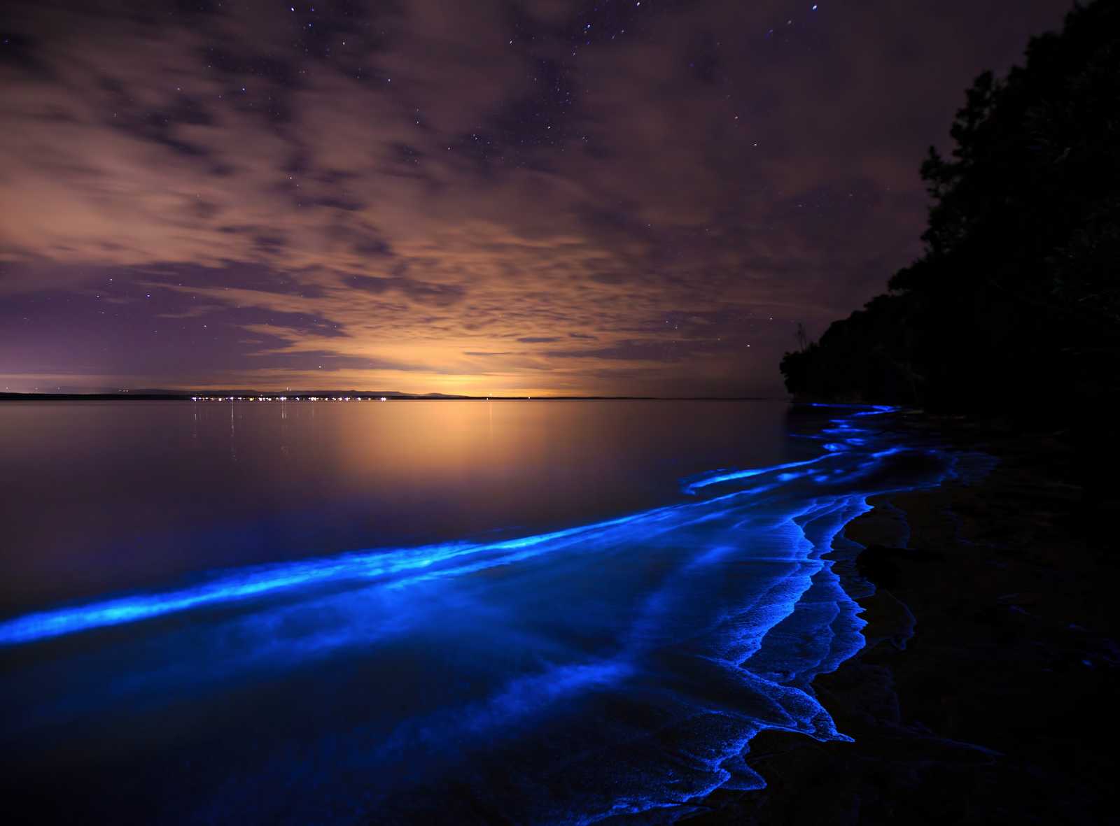 bioluminescence at jervis bay