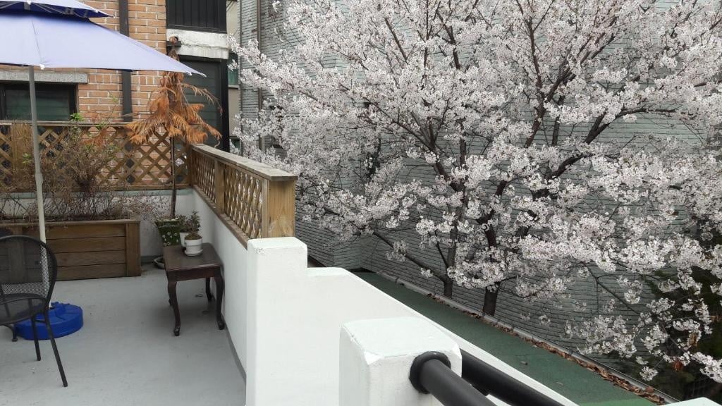 Oh My Guesthouse Cherry Blossom Patio