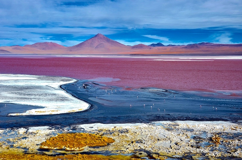 Pantone Viva Magenta Destinations: 8 Places to Find the Color of