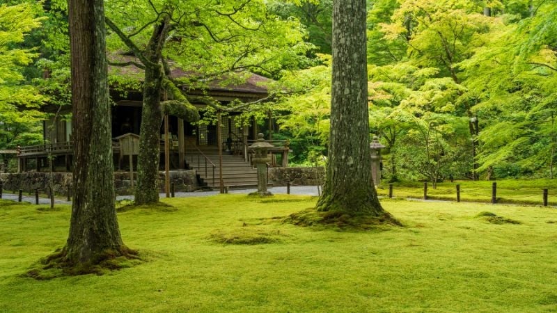 Sanzen-in Temple