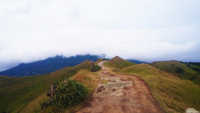 Naidi Rolling Hills