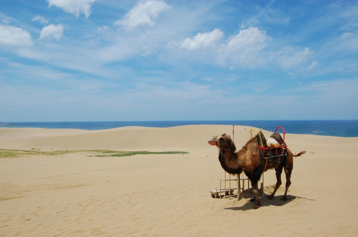 tottori sand dunes