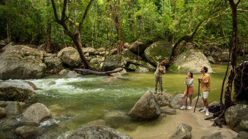 a guided tour in the tropical daintree rainforest in mossman, queensland