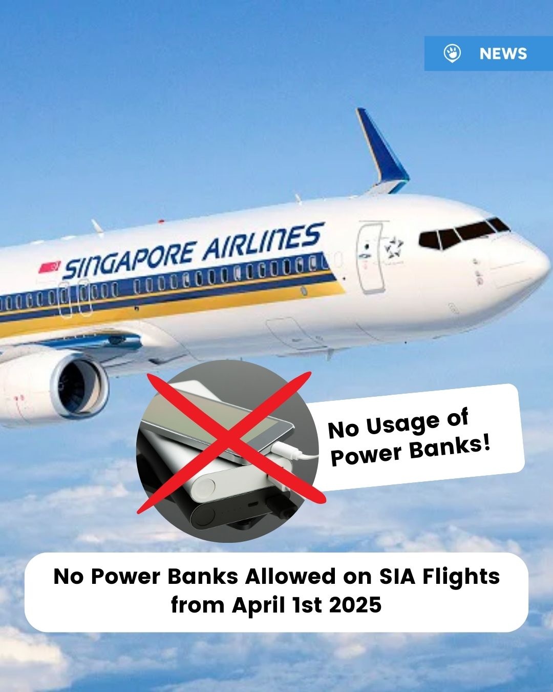 Tripzilla Instagram Bio Links