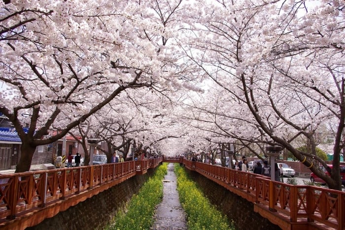 korean festivals