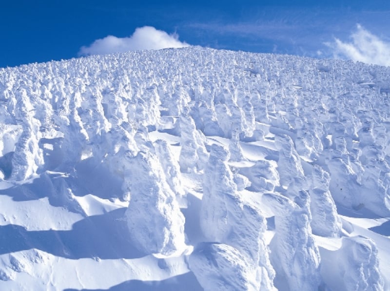 winter in tohoku