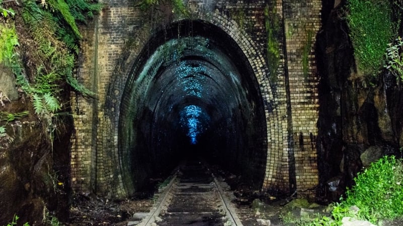 glowworm tunnel australia