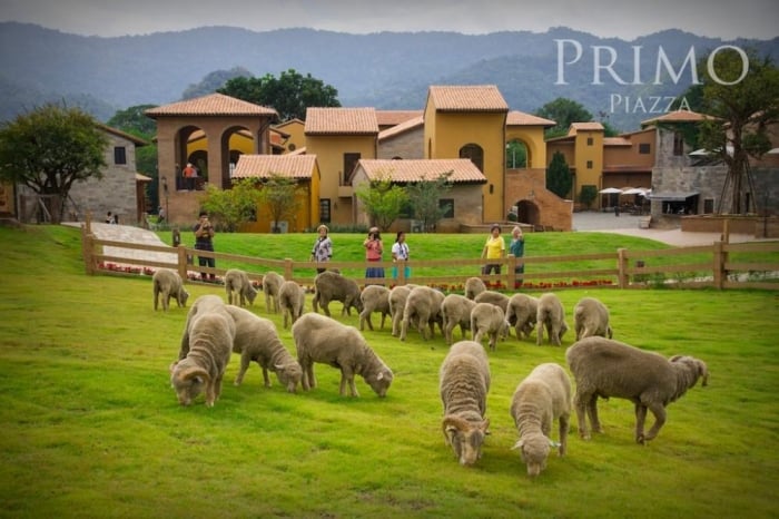 Chơi gì ở Khao Yai