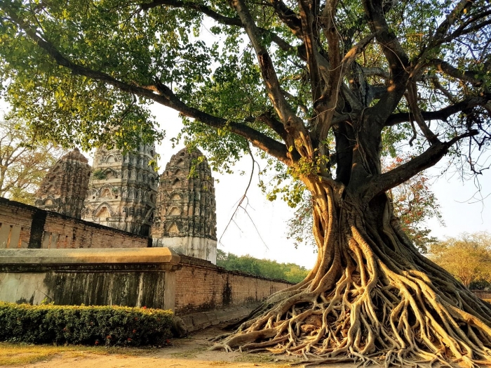 sukhothai photos