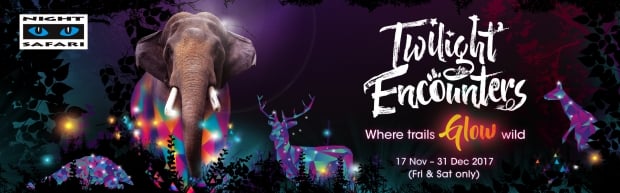 Uncover the Secret Message in Night Safari Trail and WIN Admission Tickets