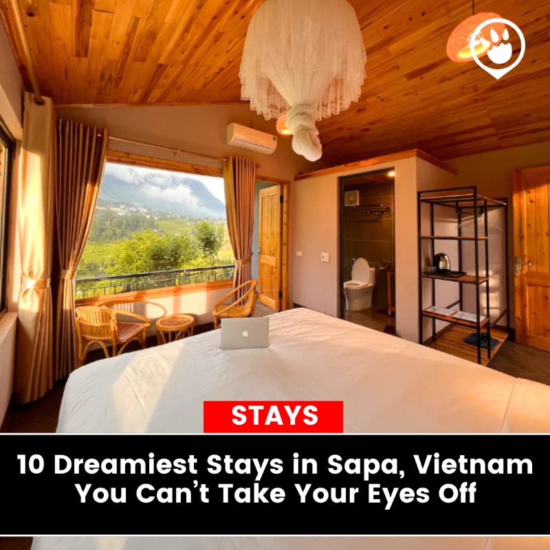 Tripzilla Instagram Bio Links