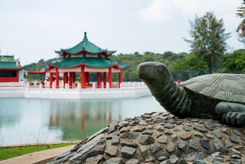 tortoise statue in front of temple