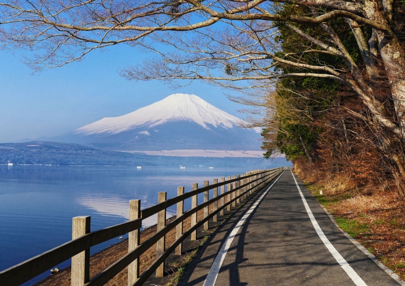 Block Mount Fuji View