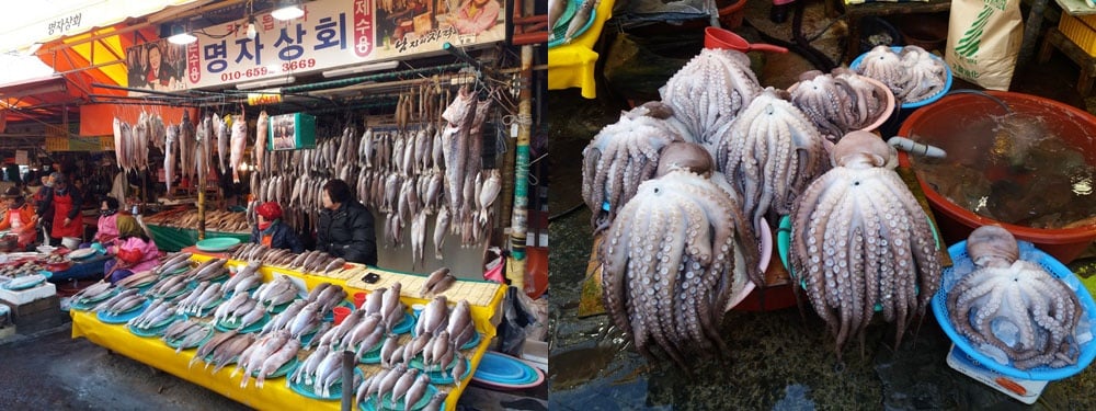 Jagalchi Fish Market