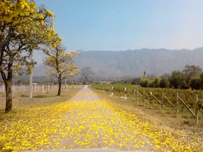 Chơi gì ở Khao Yai