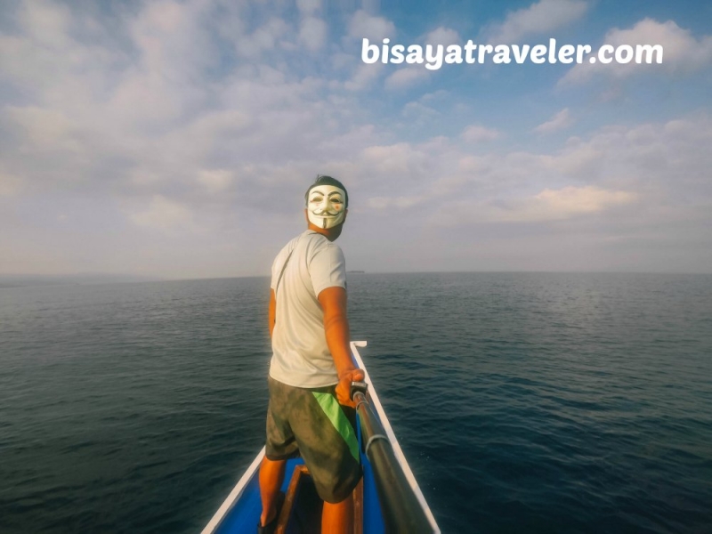 cebu pescador island sardine run