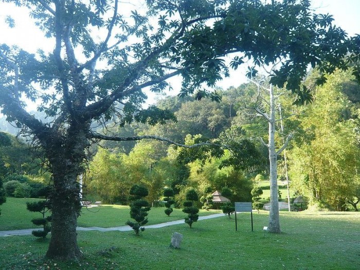 Chơi Gì Ở Penang: Penang botanic garden 