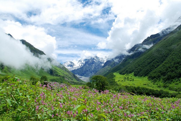 Valley of Flowers, Garhwal