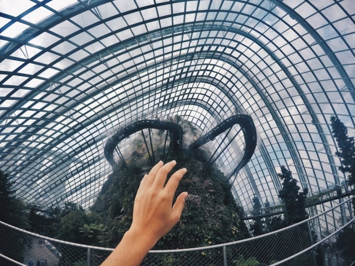 Cloud Forest