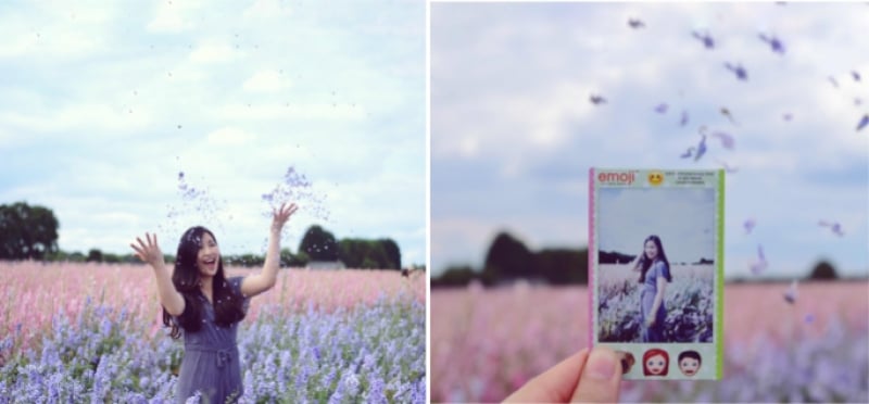 A Couple of Hours at The Flower Petal Confetti Fields — Sundays and Somedays