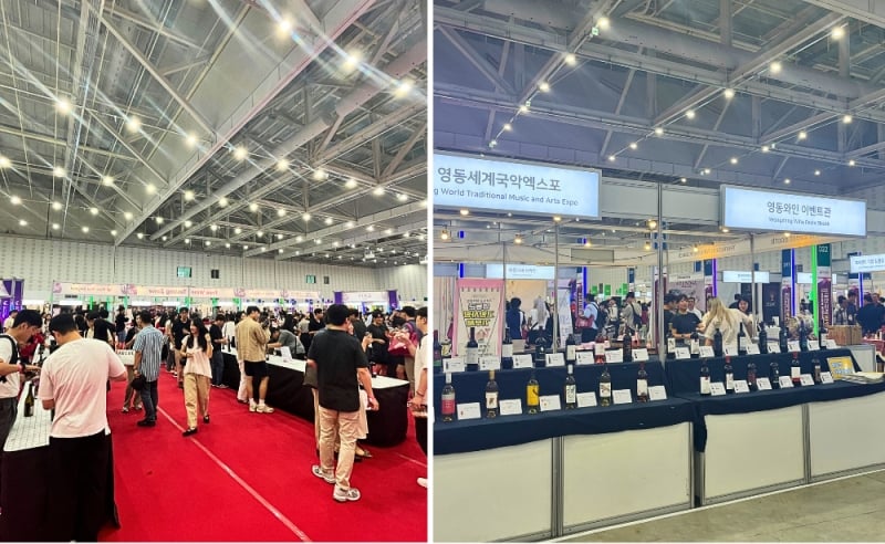 Daejeon International Wine EXPO, Things to do in Daejeon