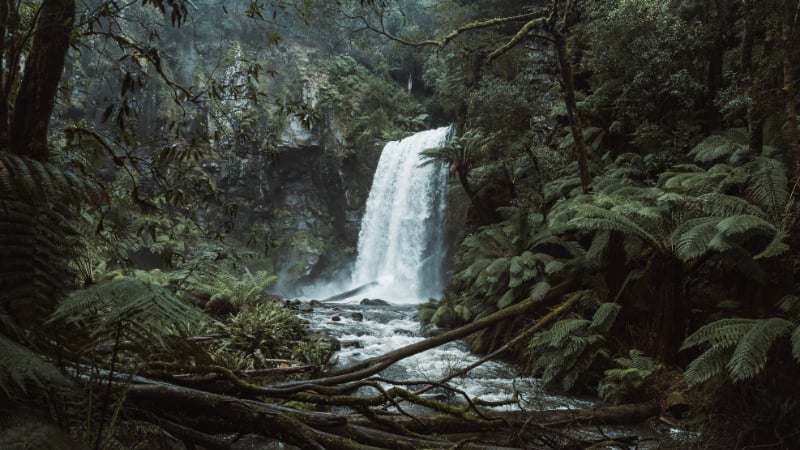 a waterfall in great otway national park