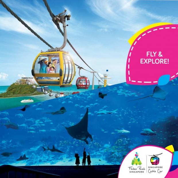 Fly and Explore with Singapore Cable Car and SEA Aquarium Promotion