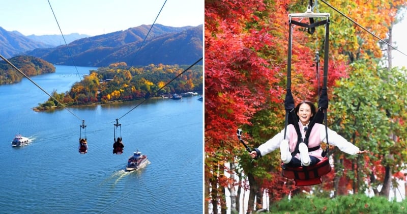 ziplining during autumn in seoul