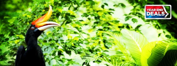 Enjoy 30% Off Airfares to Favourite Destinations with Malaysia Airlines 2