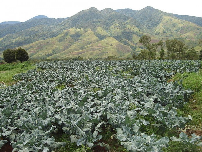 Lantapan, Philippines