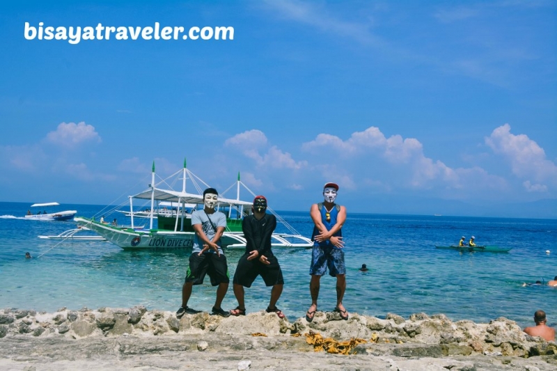 cebu pescador island sardine run