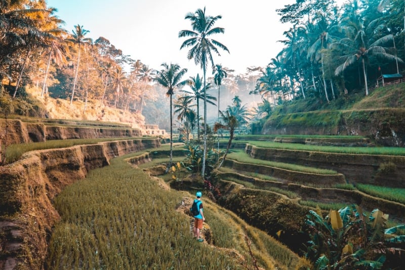 Lịch trình du lịch Bali - Ngày 3: Núi Batur