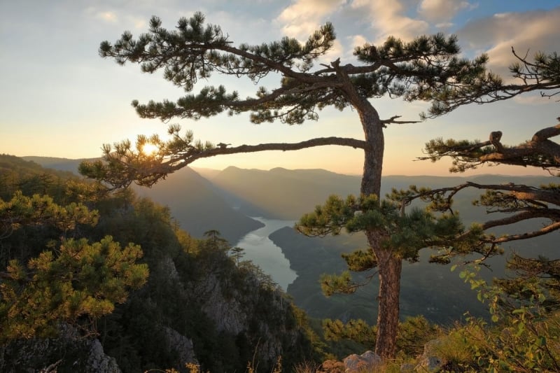 Tara National Park viewpoint