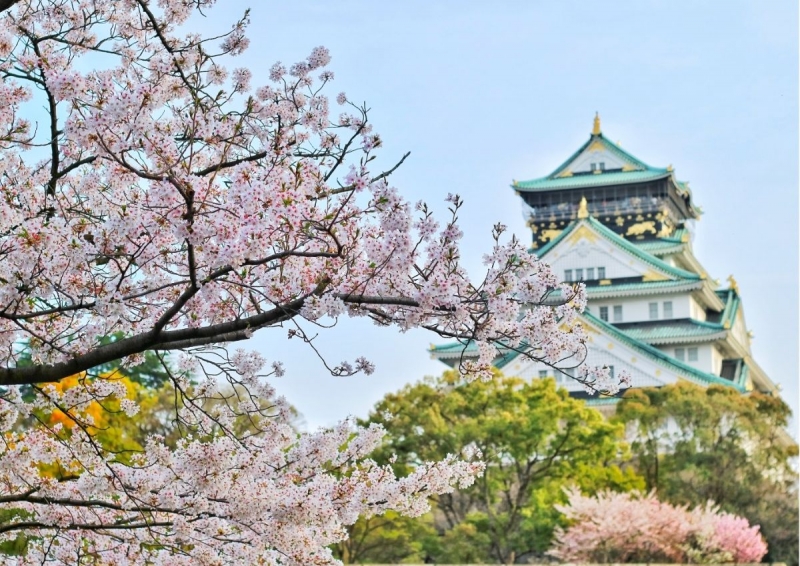 Sakura spot in Hirosaki