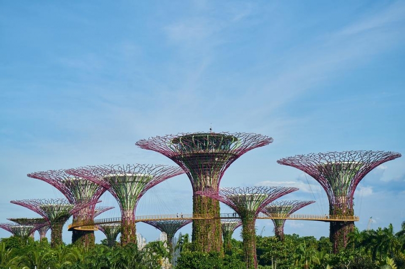 Supertrees ở Singapore
