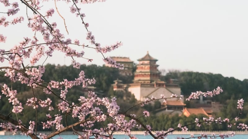china season